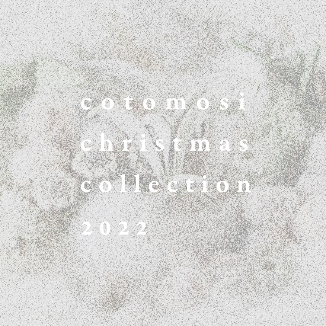 cotomosi christmas collection 2022